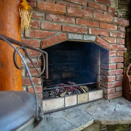 сервус Guest *